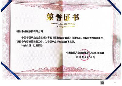 中国老龄产业协会荣誉证书05